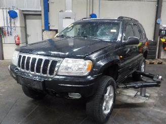 škoda osobní automobily Jeep Grand-cherokee Grand Cherokee (WG/WJ) SUV 4.7i V-8 HO (EVC) [190kW]  (10-2001/09-2005=
) 2002