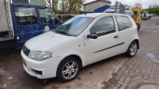 occasion commercial vehicles Fiat Punto 2003 1.2 16v 188A5 Wit 249 onderdelen 2003/11